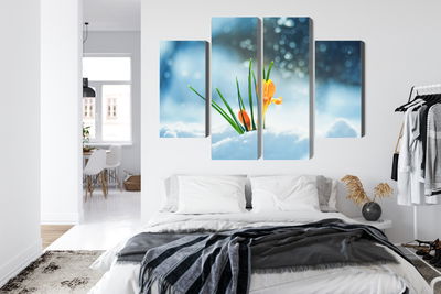 Ljuddämpande tavla - Yellow crocuses breaking