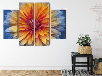 Ljuddämpande tavla - Chrysanthemum flower close