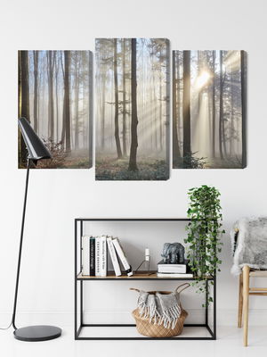Ljuddämpande tavla - Sunrise in the woods