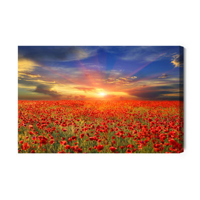 Ljuddämpande tavla - Sunset over a filed