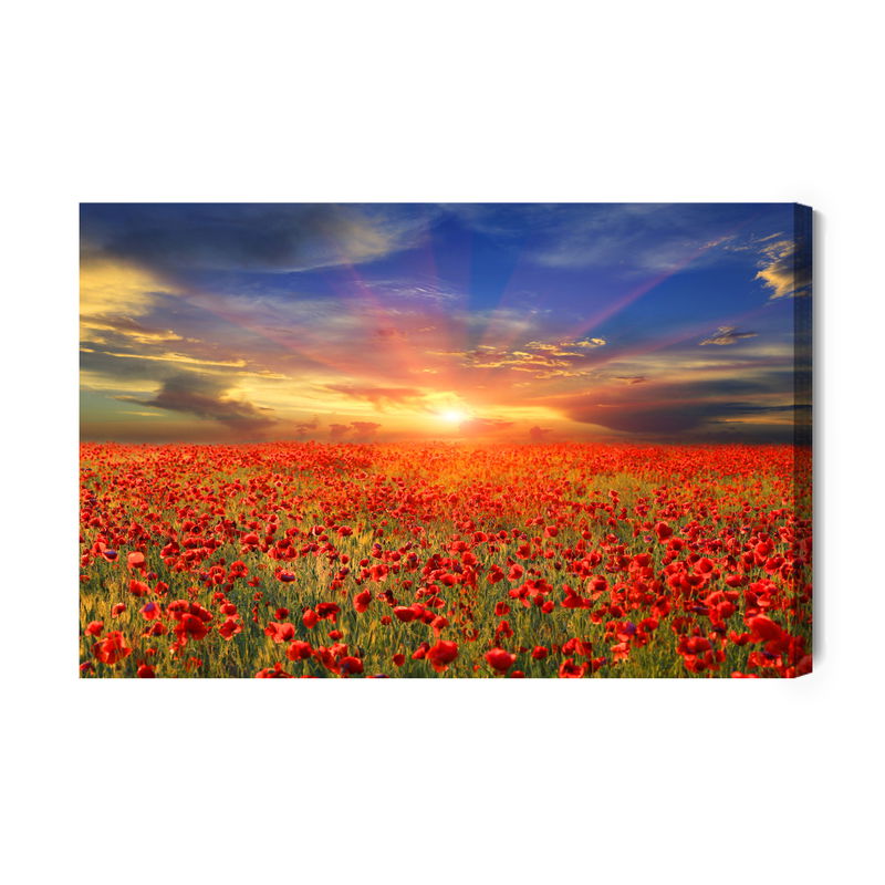 Ljuddämpande tavla - Sunset over a filed
