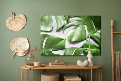 Ljuddämpande tavla - Monstera leaves on a gray