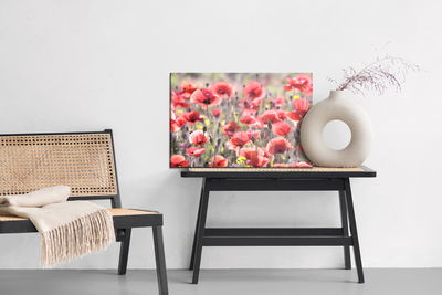 Ljuddämpande tavla - Poppies in the sun