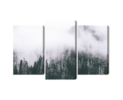 Ljuddämpande tavla - A forest shrouded in fog