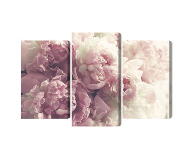 Ljuddämpande tavla - Peonies in shades of pink