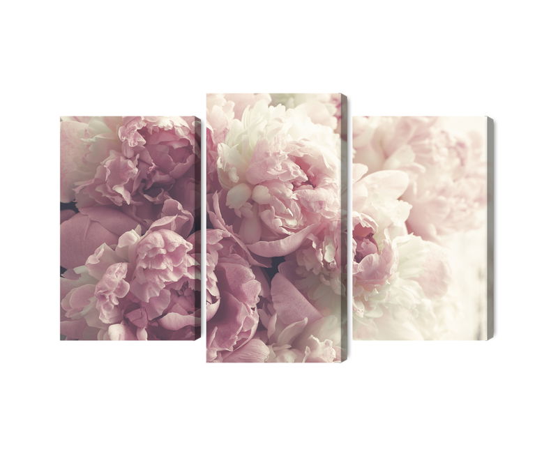 Ljuddämpande tavla - Peonies in shades of pink