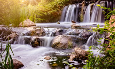 Ljuddämpande tavla - Waterfall at sunset