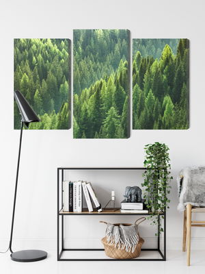 Ljuddämpande tavla - The green of the forest