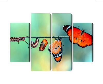 Ljuddämpande tavla - Colorful caterpillars