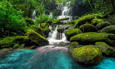 Ljuddämpande tavla - A beautiful waterfall