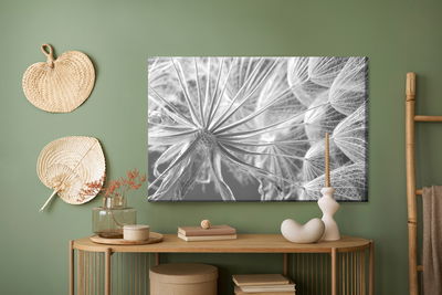 Ljuddämpande tavla - Dandelion close up