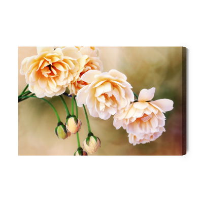 Ljuddämpande tavla - Miniature roses