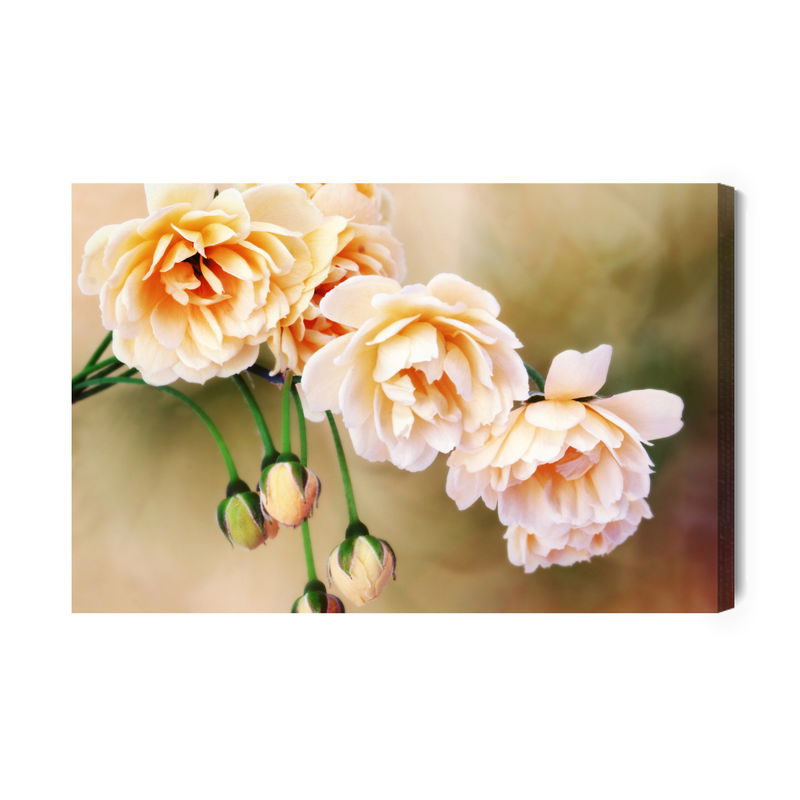 Ljuddämpande tavla - Miniature roses