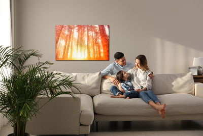 Ljuddämpande tavla - Dawn in a beautiful forest