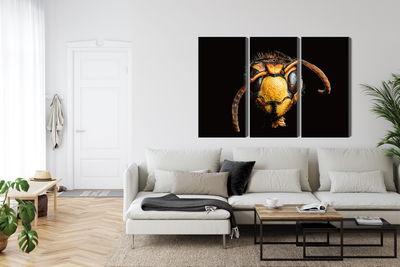 Ljuddämpande tavla - Hornet on a macro scale