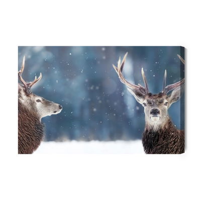 Ljuddämpande tavla - Two deer in the winter forest