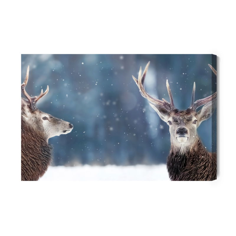Ljuddämpande tavla - Two deer in the winter forest