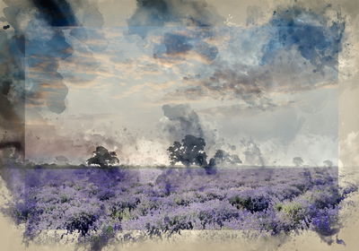 Ljuddämpande tavla - Artistic lavender country