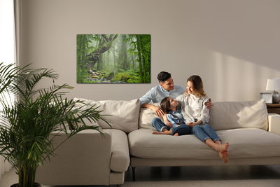 Ljuddämpande tavla - Tropical jungle