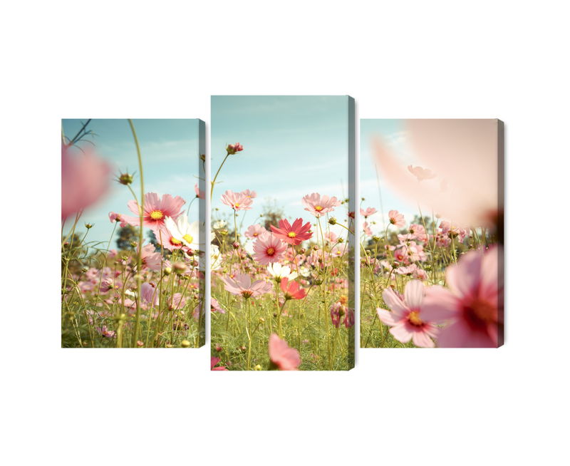 Ljuddämpande tavla - Cosmos flowers in the garden
