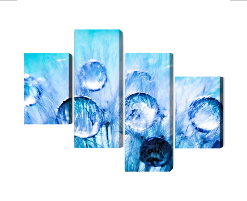 Ljuddämpande tavla - Dew drops on dandelion seeds