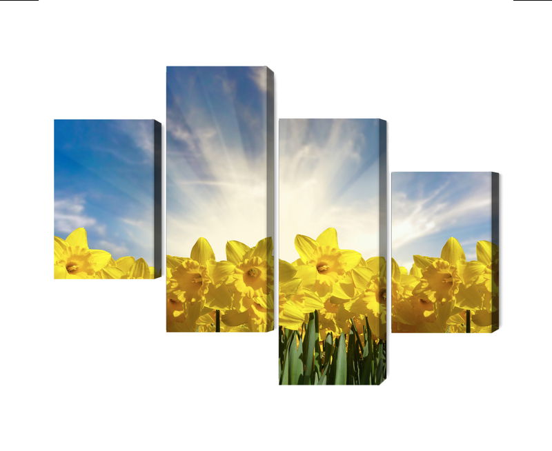 Ljuddämpande tavla - 3d daffodils field