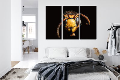 Ljuddämpande tavla - Hornet on a macro scale