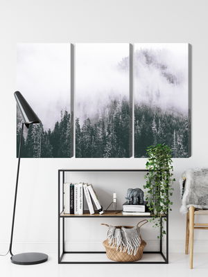 Ljuddämpande tavla - A forest shrouded in fog