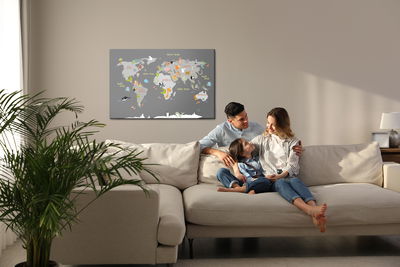 Ljuddämpande tavla - World map with animals