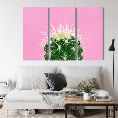 Ljuddämpande tavla - Cactus on a pink background
