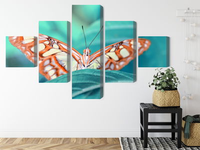 Ljuddämpande tavla - Butterfly on a leaf in macro