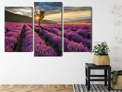 Ljuddämpande tavla - Lavender field at sunset 3d