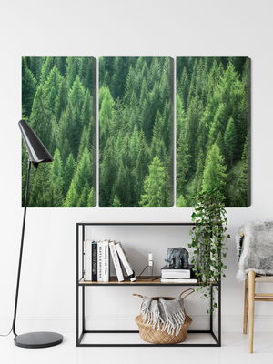 Ljuddämpande tavla - Green forest view 3d