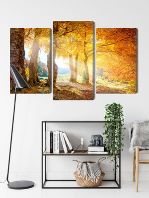 Ljuddämpande tavla - Sunny autumn forest