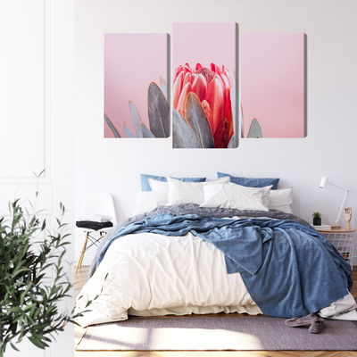 Ljuddämpande tavla - Flower of the royal protea