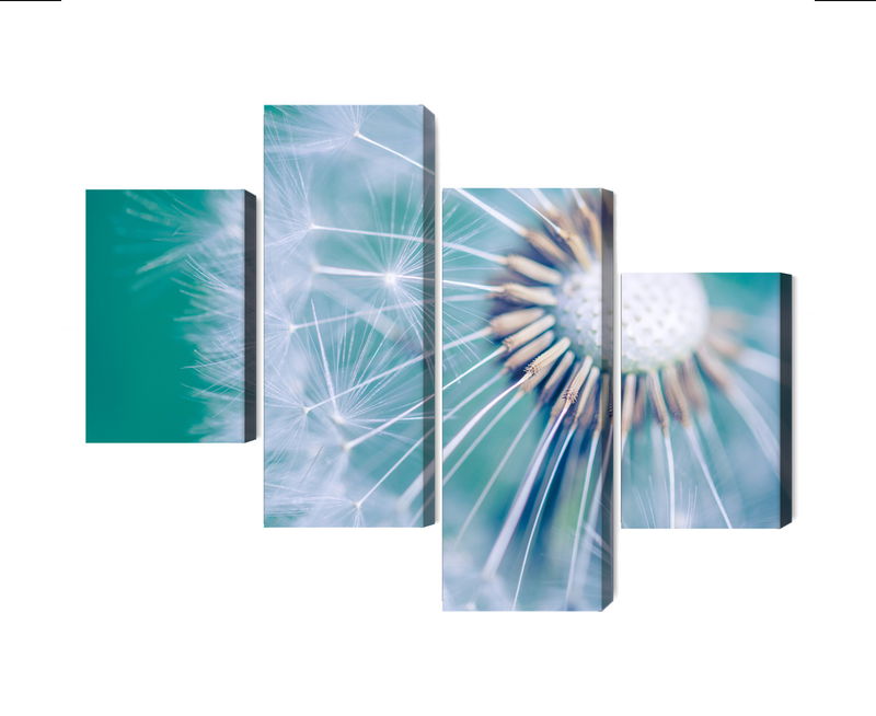 Ljuddämpande tavla - Dandelion on a macro scale