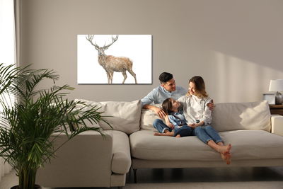 Ljuddämpande tavla - A deer like painted