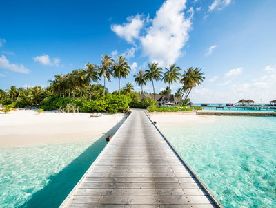 Ljuddämpande tavla - View of the tropical island