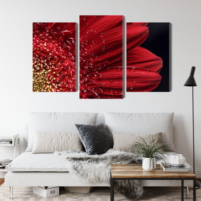 Ljuddämpande tavla - Flower petals on a macro