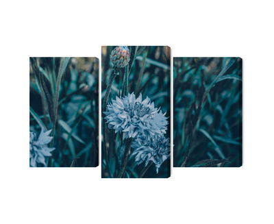 Ljuddämpande tavla - Cornflowers in the meadow 3d