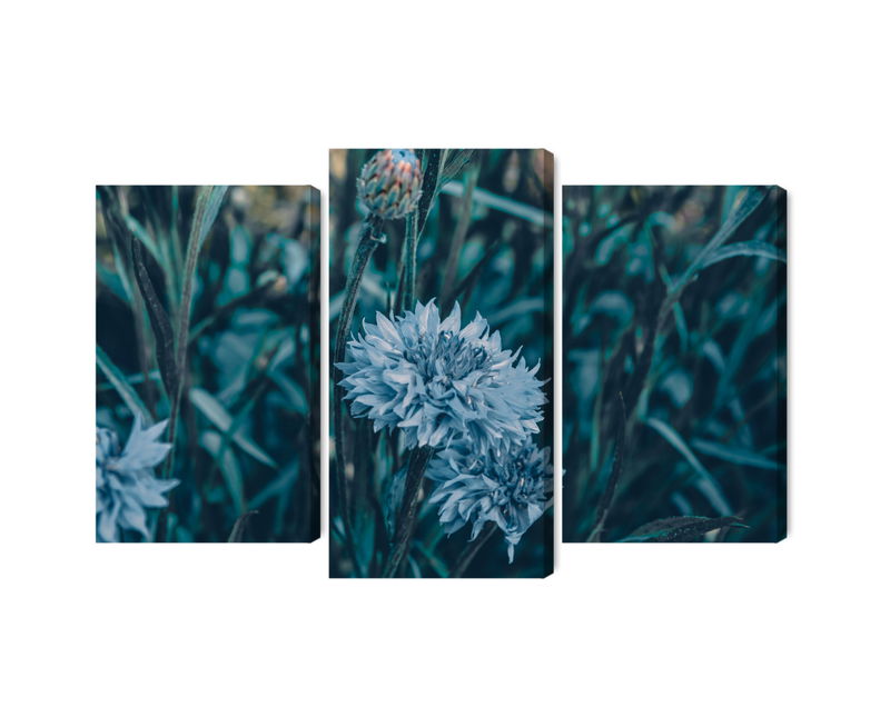 Ljuddämpande tavla - Cornflowers in the meadow 3d