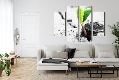 Ljuddämpande tavla - 3d plant sprouting