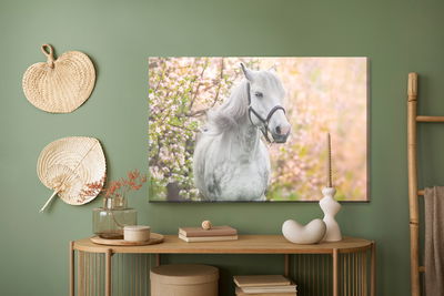 Ljuddämpande tavla - Horse on a background