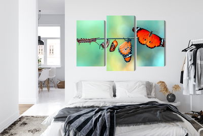 Ljuddämpande tavla - Colorful caterpillars