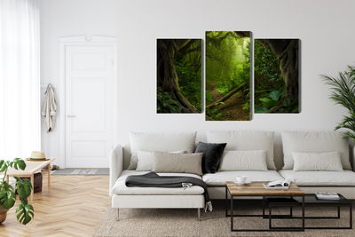 Ljuddämpande tavla - Path in the tropical forest