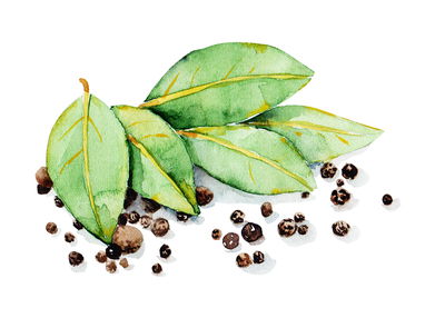 Ljuddämpande tavla - Bay leaves with spices
