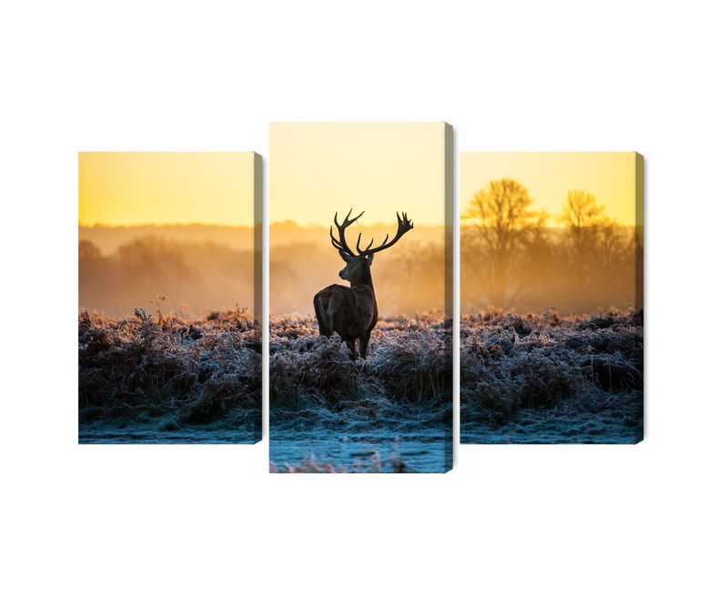 Ljuddämpande tavla - Deer in the rut in 3d