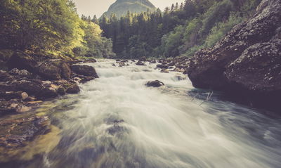 Ljuddämpande tavla - Mountain river in the forest
