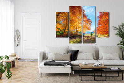 Ljuddämpande tavla - Colorful autumn trees