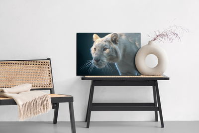 Ljuddämpande tavla - Beautiful white tiger